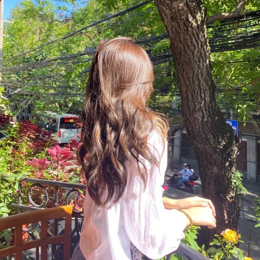 鲨海